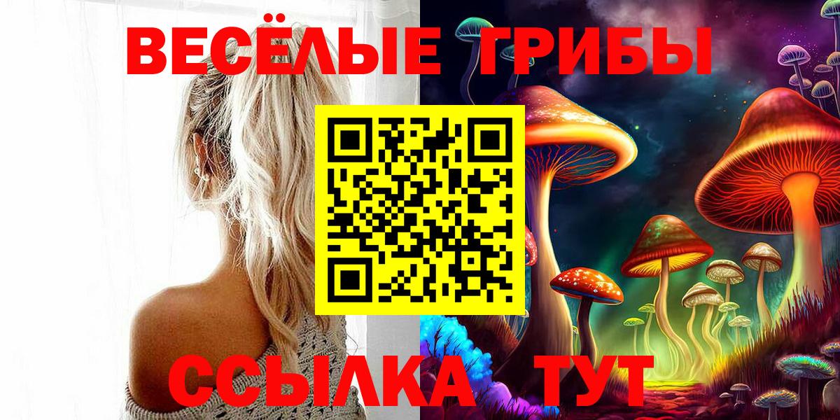Жуковский  Галлюциногенные грибы Cubensis  Вход с VPN  Галлюциногенные грибы Magic Shrooms 