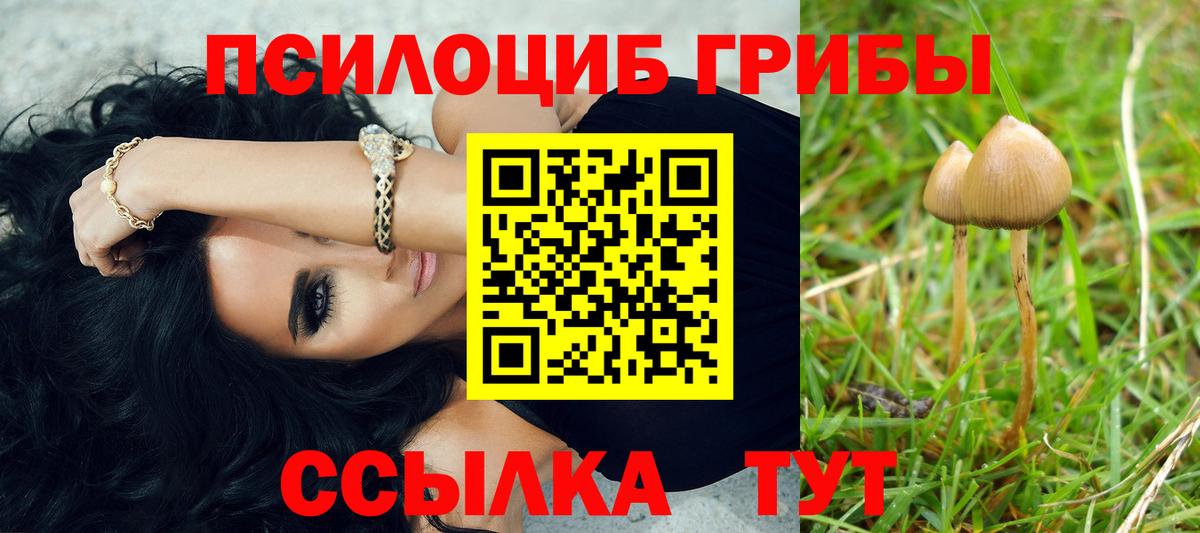 Галлюциногенные грибы Psilocybe Жуковский